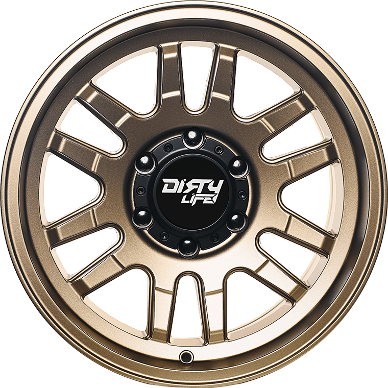 DIRTY LIFE CANYON - Satin Gold